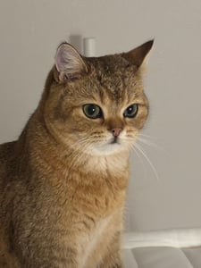 판매자 프로필 이미지