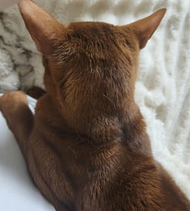 판매자 프로필 이미지