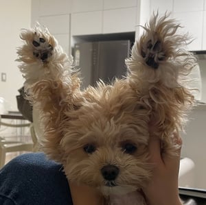 판매자 프로필 이미지