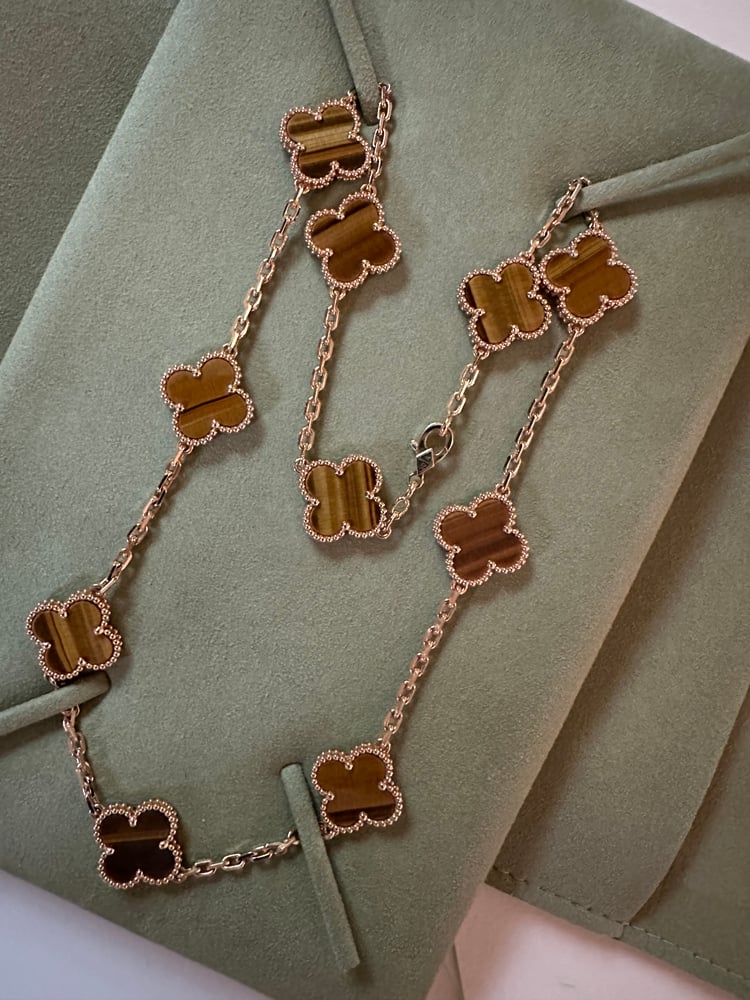 우연히 알게된 페이브릴에서 