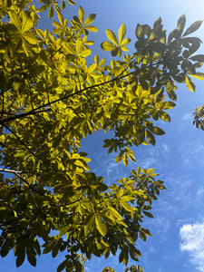 판매자 프로필 이미지