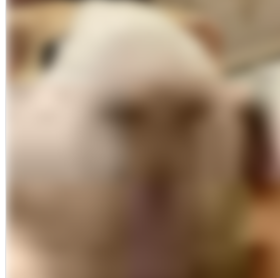 제품
