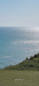 판매자 프로필 이미지