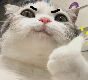 판매자 프로필 이미지