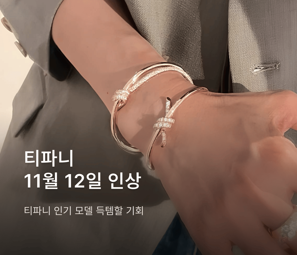 티파니 스테디 셀렉션