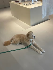 재영 프로필 이미지