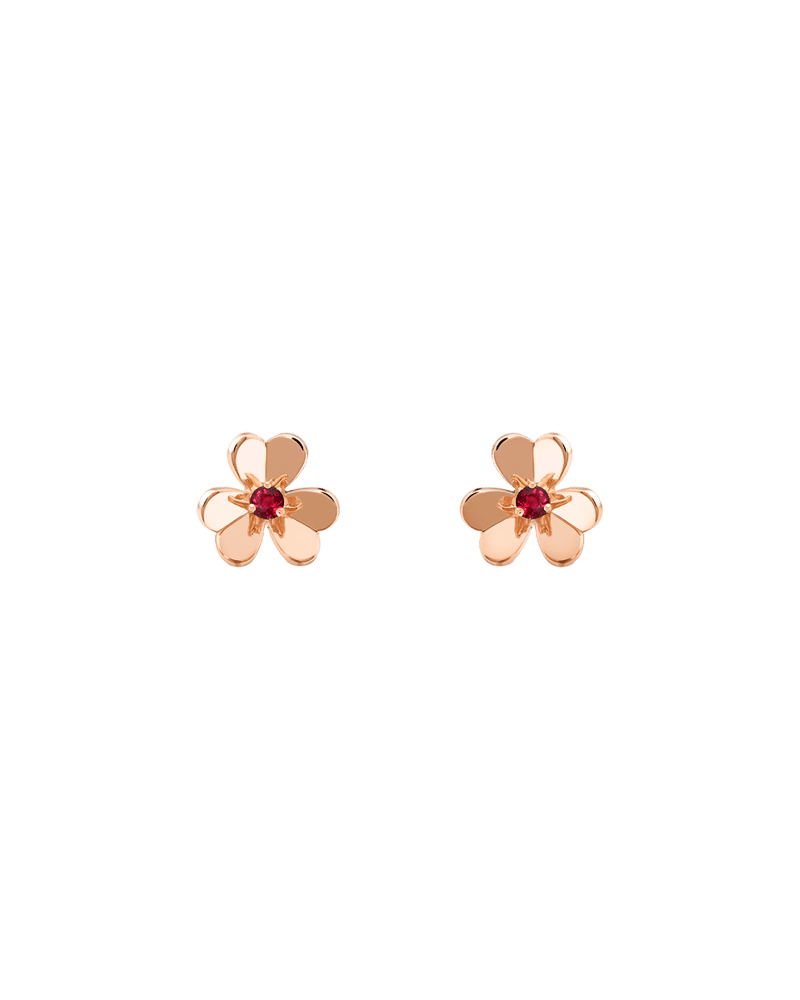 모델 이미지