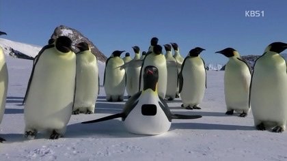 Aa