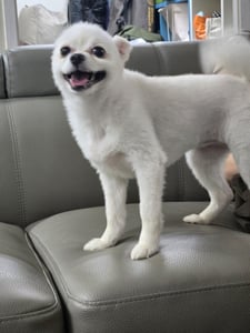 판매자 프로필 이미지