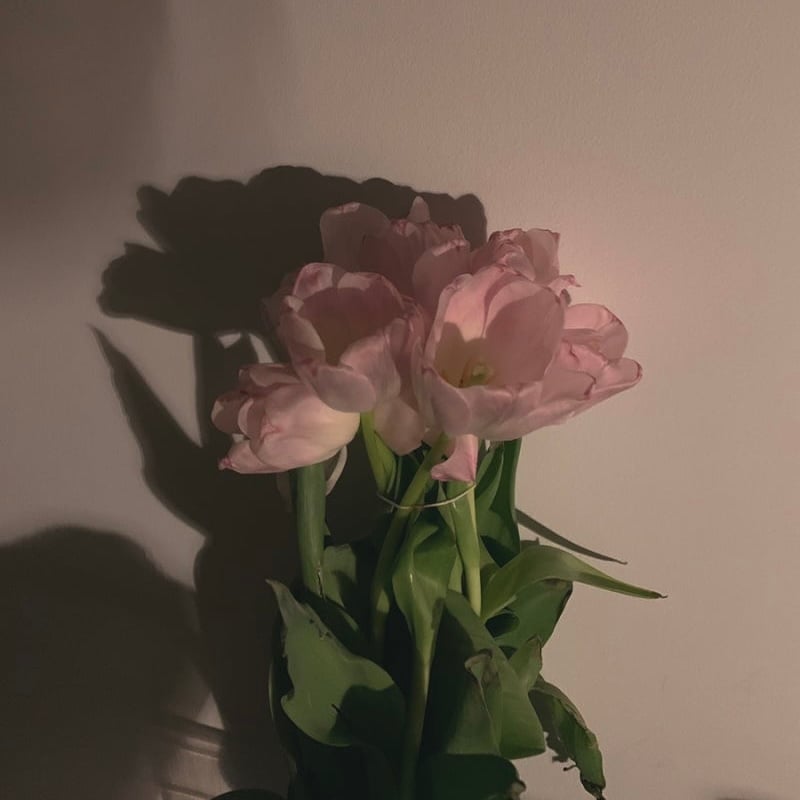 250416