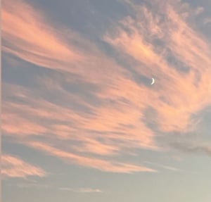 판매자 프로필 이미지