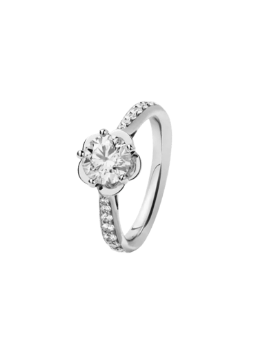 까멜리아 솔리테어