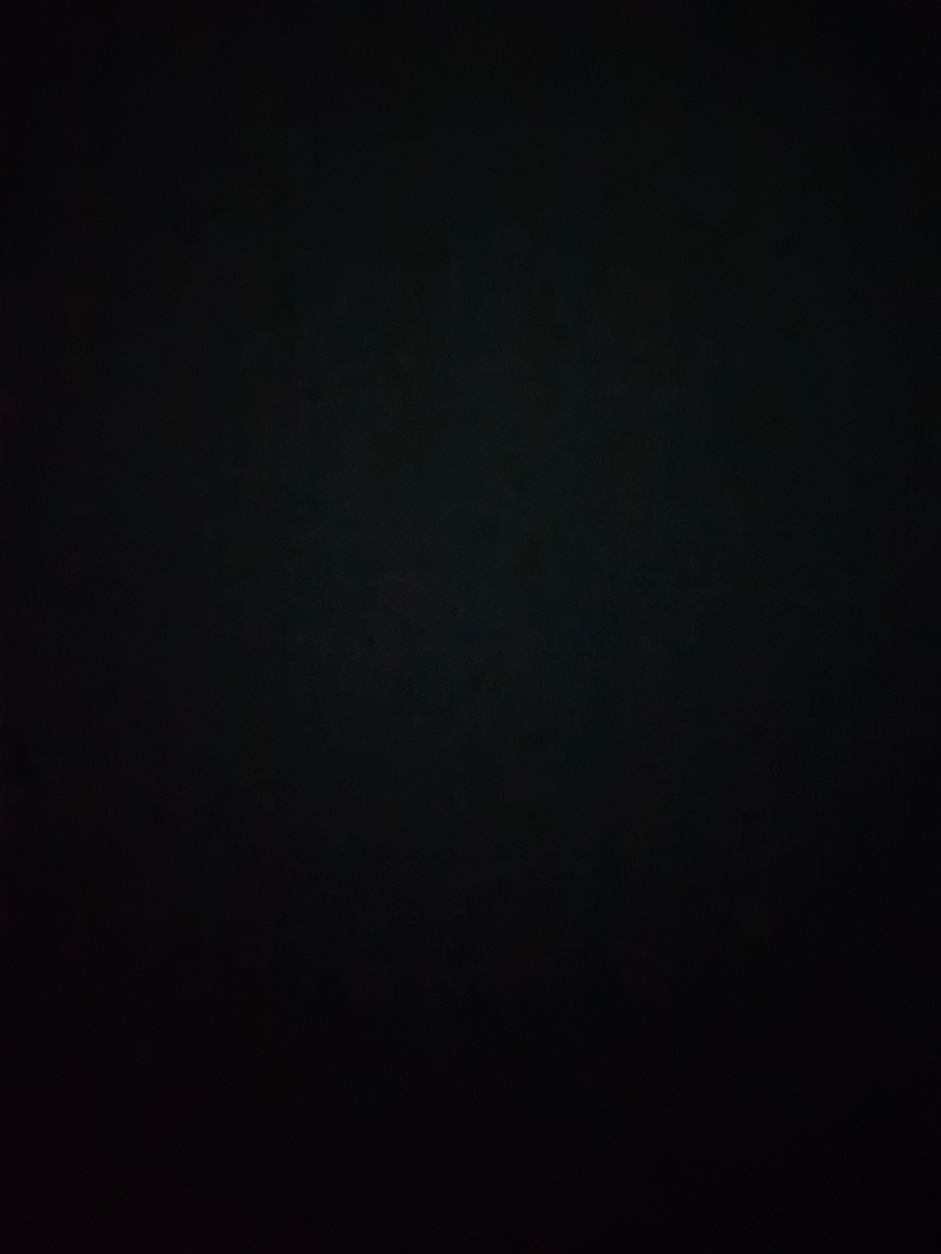 감귤