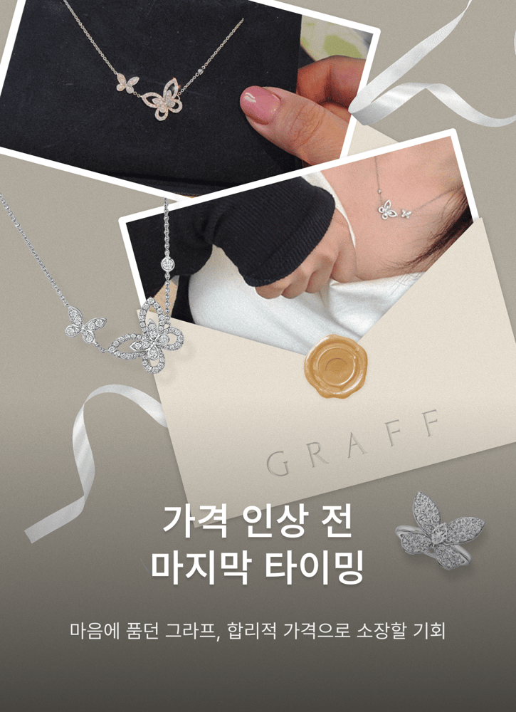 그라프 스테디 셀렉션