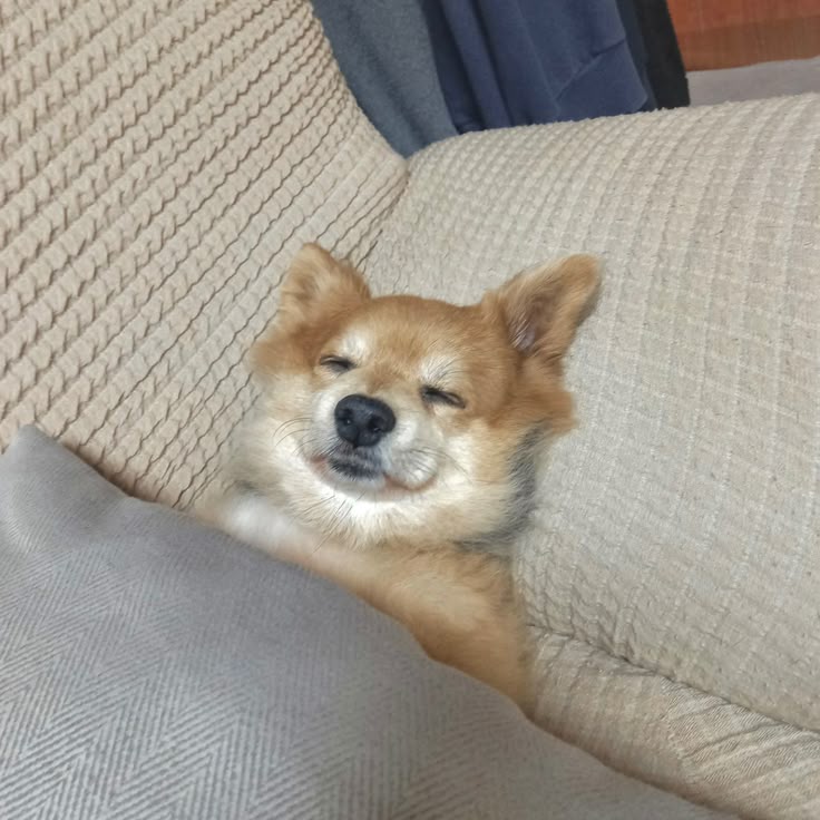 제품