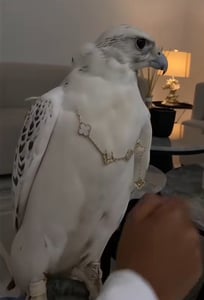 Bway 프로필 이미지