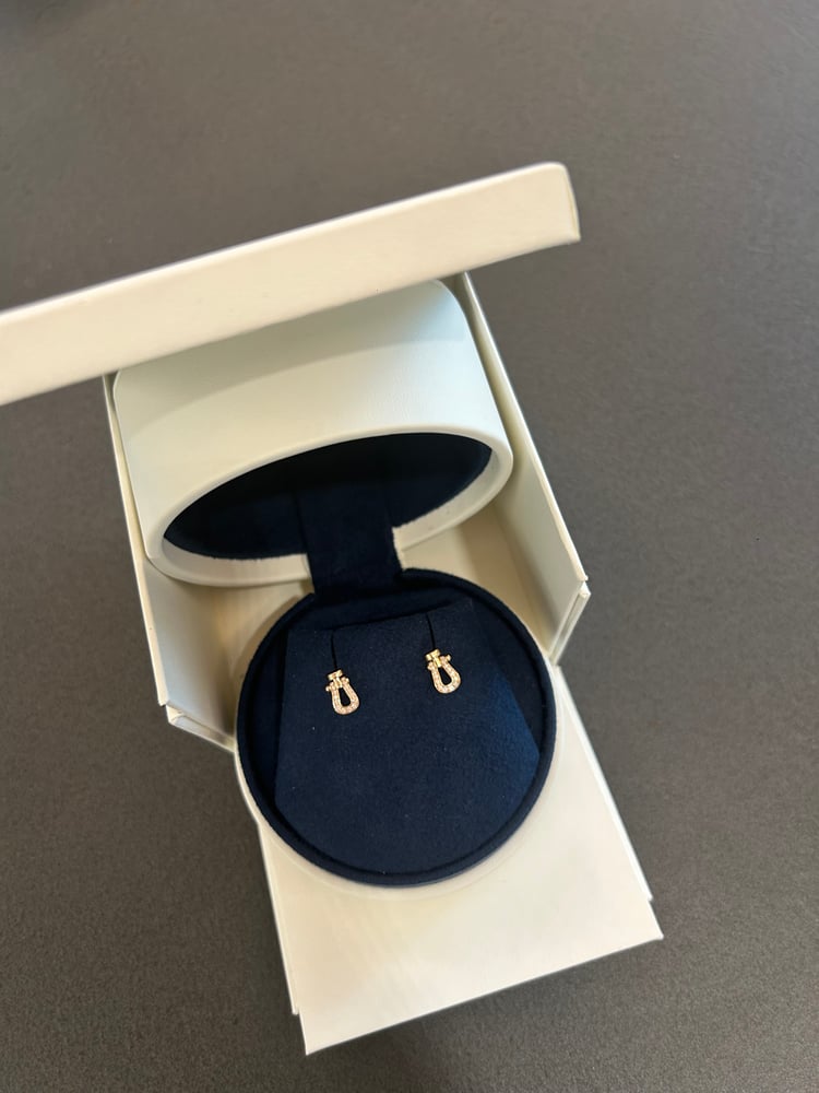 프레드귀걸이 새상품급 100만원저렴하게 구매!