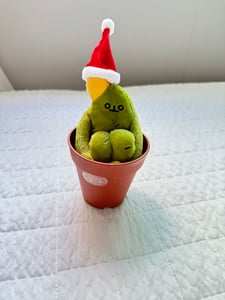 깡미니 프로필 이미지