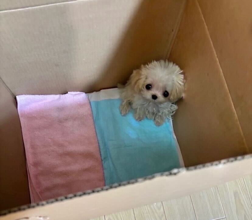 제품