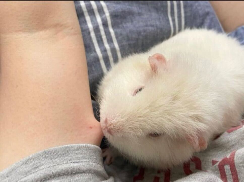제품