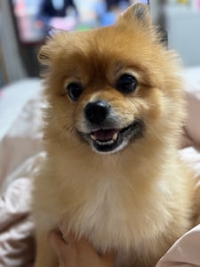 이희진 프로필 이미지