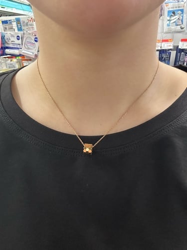 갖고싶었던 목걸이 ~ 내 품으로~