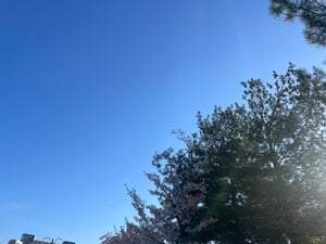 판매자 프로필 이미지