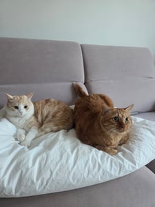 판매자 프로필 이미지