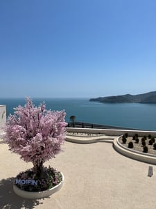 참새 프로필 이미지