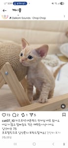 판매자 프로필 이미지