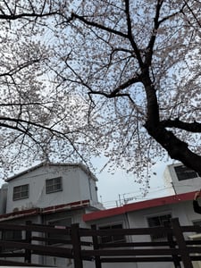 판매자 프로필 이미지