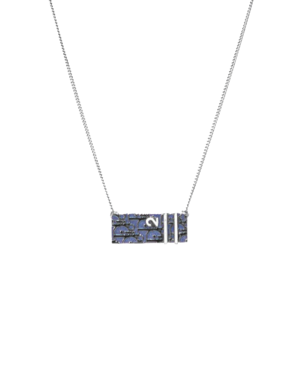 디올 블루 트로터 패턴 네크리스