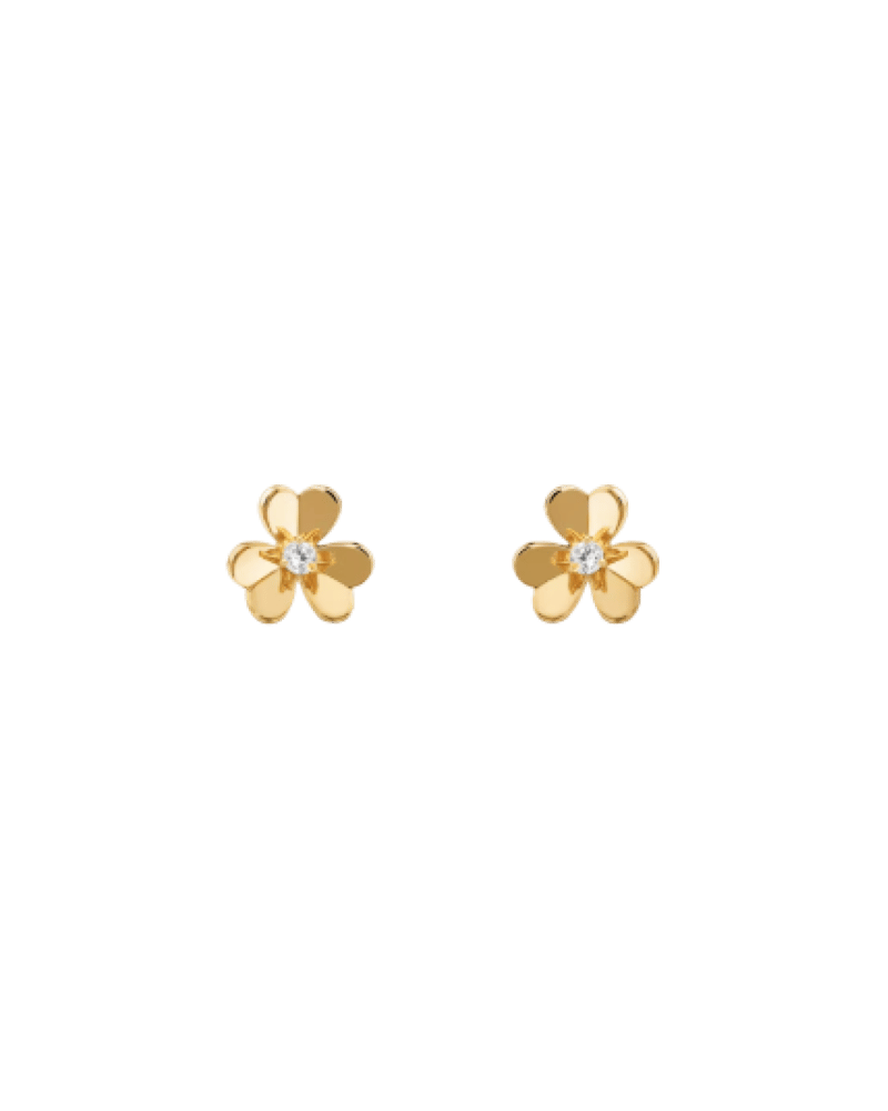 모델 이미지