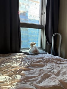 remember 프로필 이미지