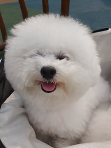 판매자 프로필 이미지