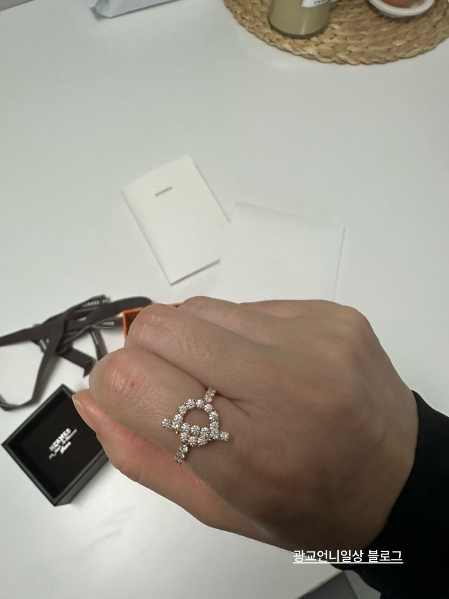 에르메스 피네스 링 - 반지