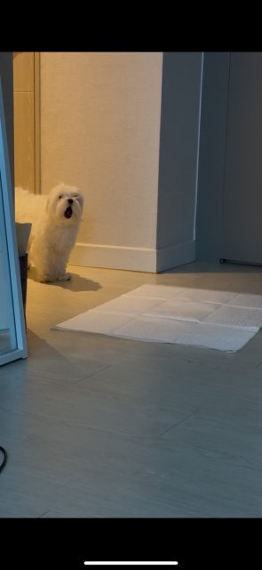 닉네임을등록다무르