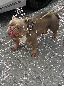 판매자 프로필 이미지