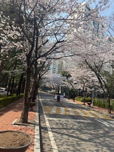 판매자 프로필 이미지