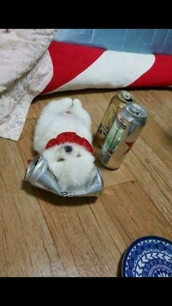 제품