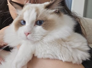 아름아름 프로필 이미지
