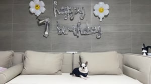 판매자 프로필 이미지