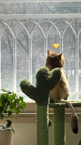 마요냐즈 프로필 이미지