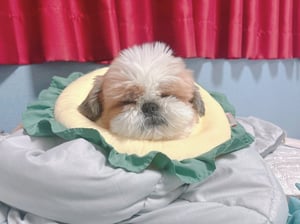 판매자 프로필 이미지