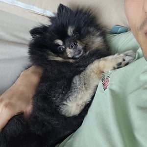 김동영 프로필 이미지