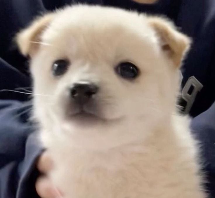 제품