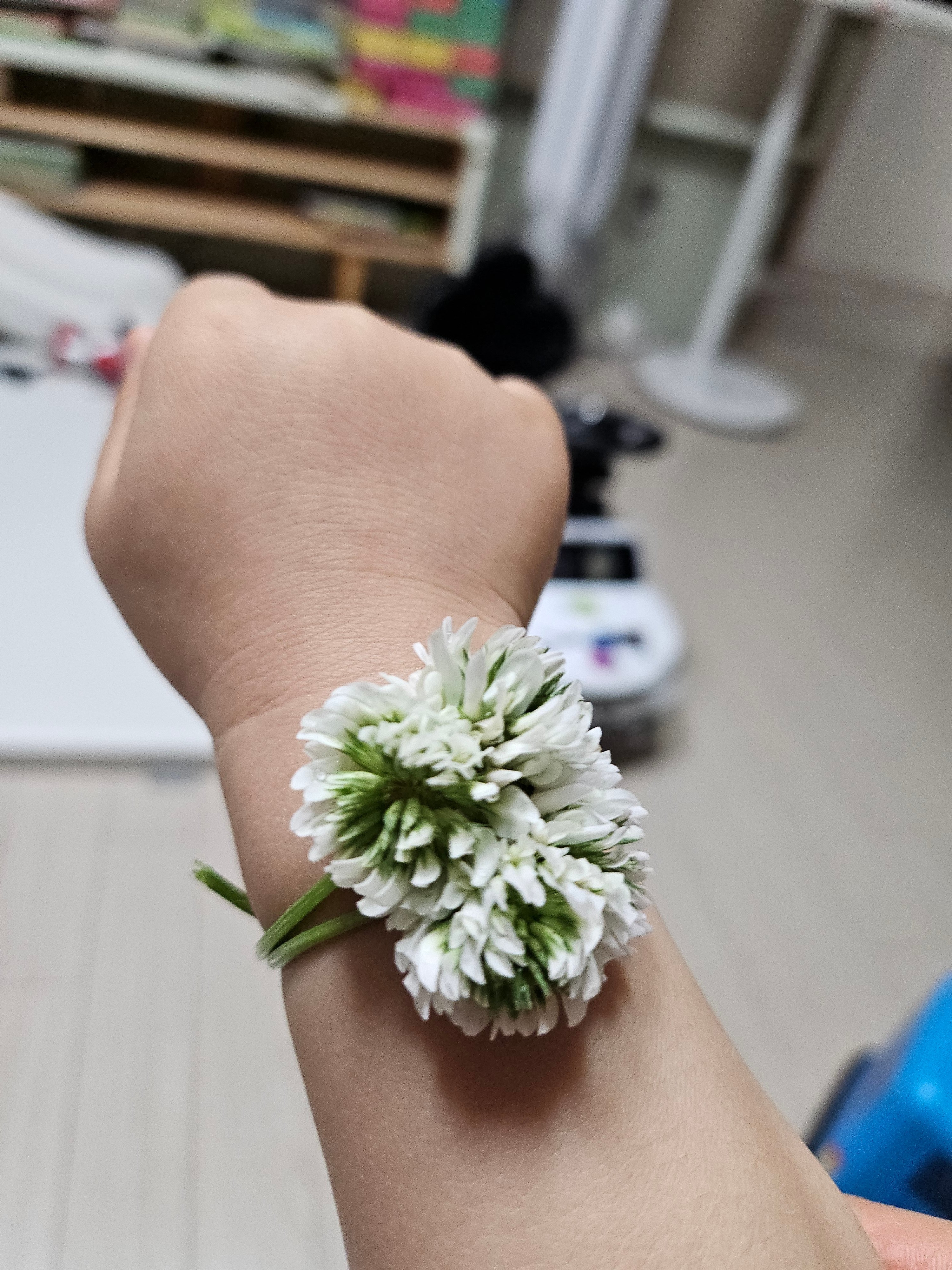 IiiiIiill
