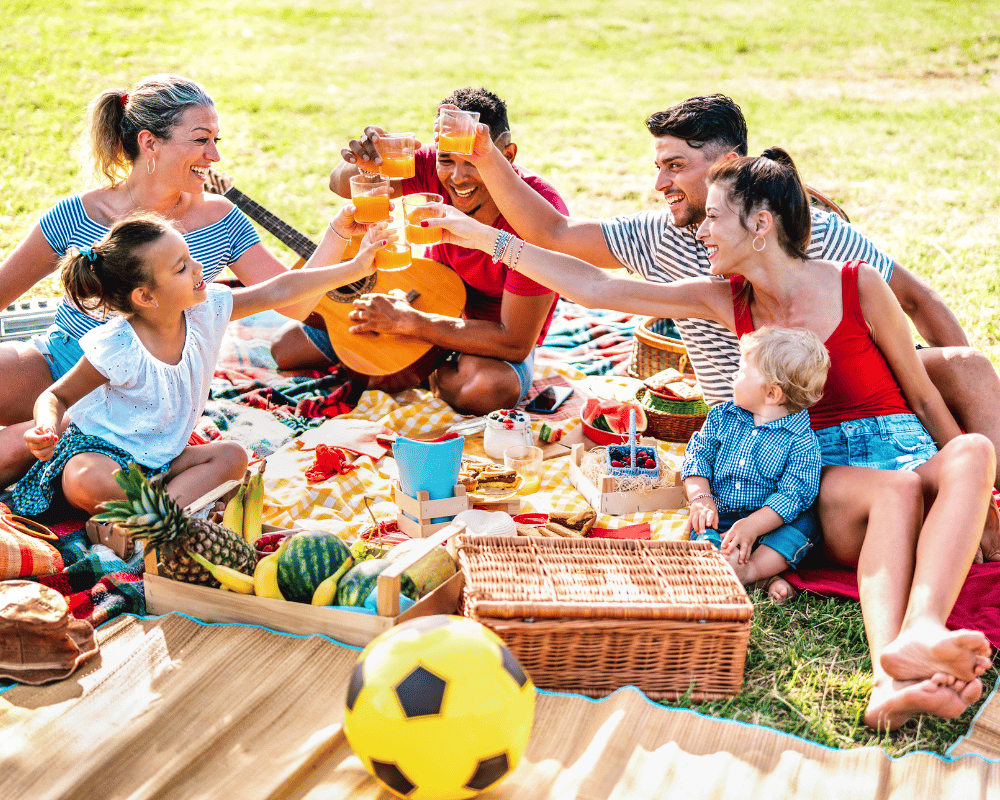 picnic tomar fotos videos con familia seres queridos amistades memorias