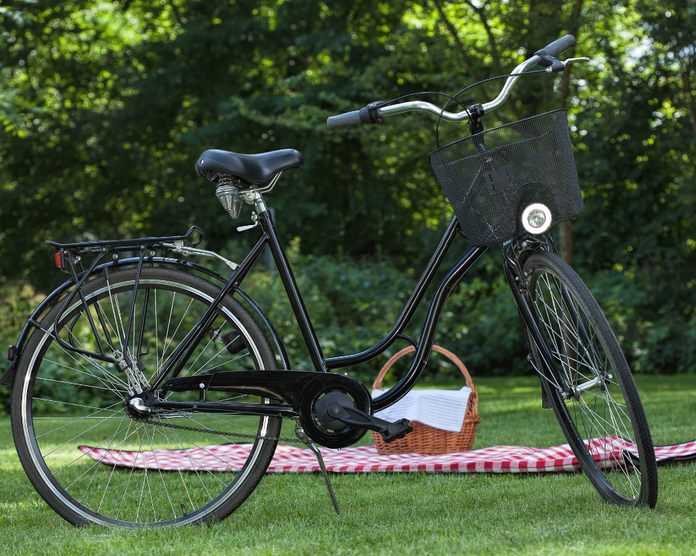 pedaleando en washington seattle pnw paseos naturaleza picnic bike bicicletas familia entretenimiento salud mental aventuras