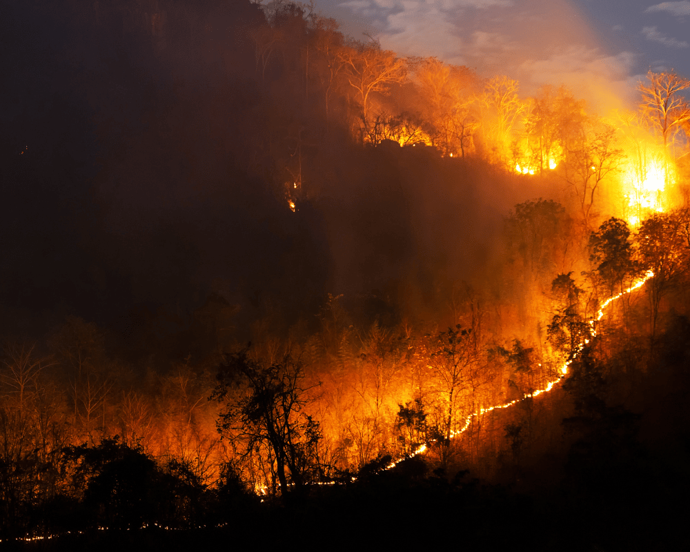 wildfires-incendios-forestales-en-el-pnw-washington-oregon-humo-tragedias-fuego